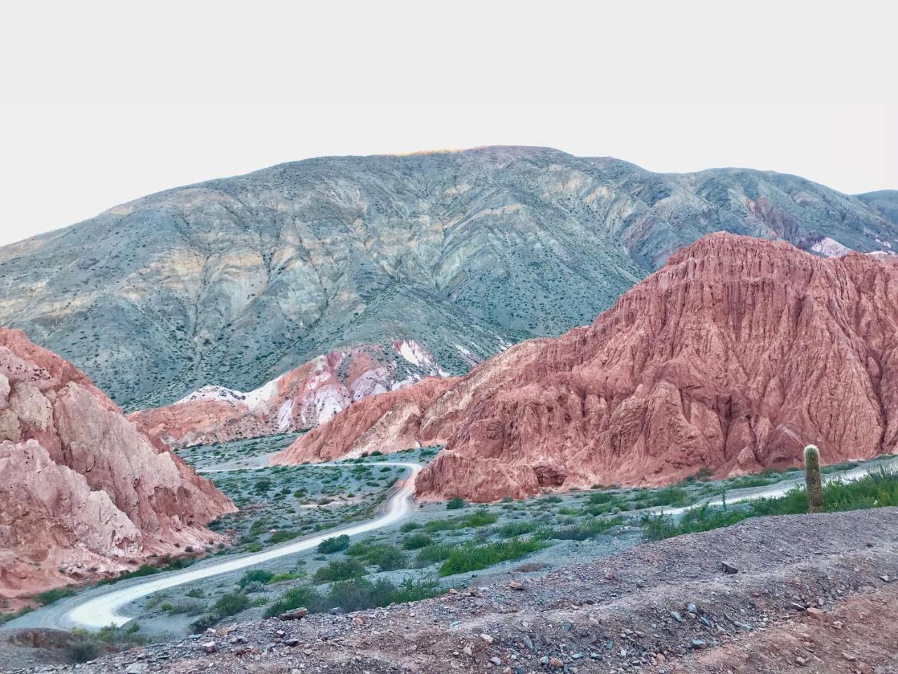 Las Vicunas Departamentos 普尔马马尔卡 外观 照片